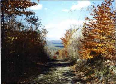 A view from the road on Sawyer Mountain