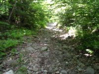 The trail rapidly turns to a rocky path.