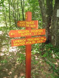 Trail Junction Sign