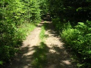 Start of Sawyer Mountain Trail